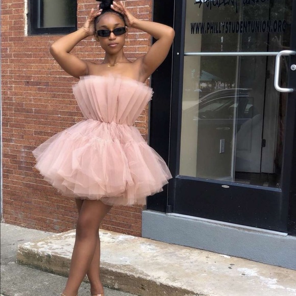 Pink/Nude Tulle Dress - Picture 1 of 3